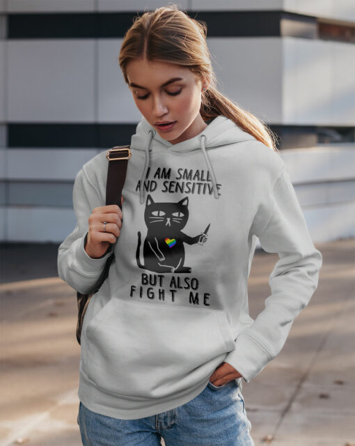2020-11-Women-Hoodie-I-Am-Small-And-Sensitive-But-Also-Fight-Me-LGBT-Mockup2-Sport-Grey-1.jpg