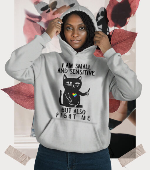 2020-11-Women-Hoodie-I-Am-Small-And-Sensitive-But-Also-Fight-Me-LGBT-Mockup3-Sport-Grey-1.jpg